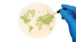 You Are Living in an Experiment