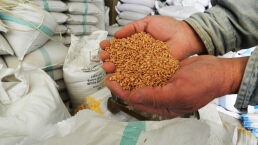 Ukraine War Drives Up Food Prices