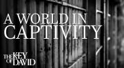 A World in Captivity