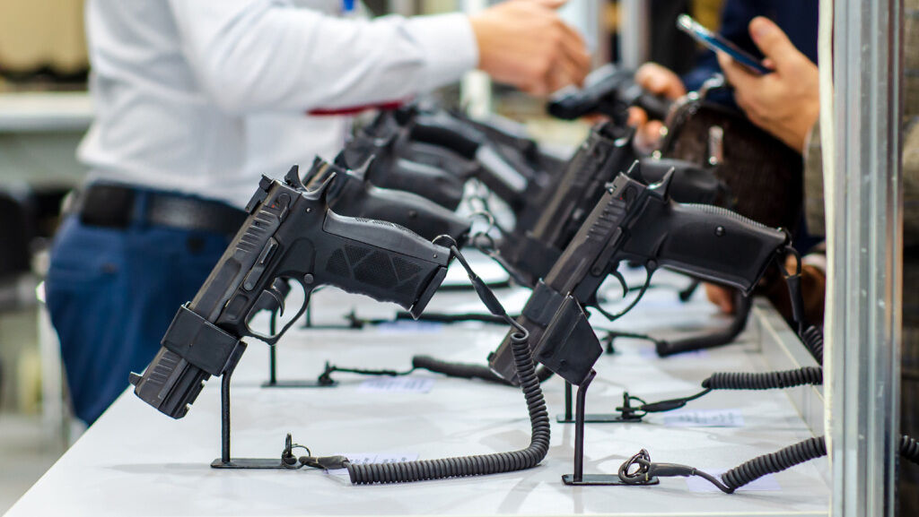 Why the Founders Established the Second Amendment - Vimarsana News