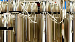 Iran Begins Enriching Uranium With New Centrifuges