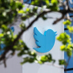 Twitter Files Expose ‘COVID-19 Lie Machine’