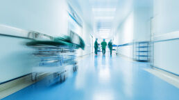 Why Is Canada Killing Itself?