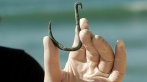 ‘6,000-Year-Old’ Copper Fishhook Discovered in Ashkelon