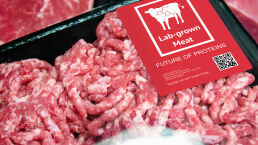 Lab-Grown Meat: Just Another Junk Food?