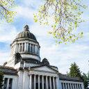 Striving for Excellence Is &lsquo;Racist&rsquo;