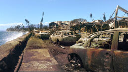 What Is Going On in Maui?