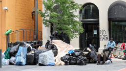 Canada’s Immigration Policy Is a Curse on the Nation