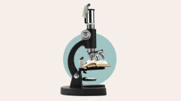 Can You Rely on the Bible?