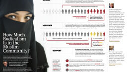 How Much Radicalism Is in the Muslim Community?