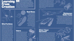 Biomimicry—Learning From Creation