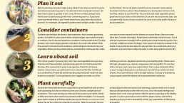 Vegetables in the City