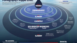 Pornography’s Ripple Effect