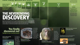 The Neverending Discovery