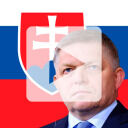 Slovak Would-be Assassin May Not Have Acted Alone, Government Says