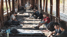 Record Number of Syrians Become German Citizens