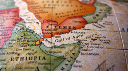 Houthis in Africa