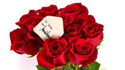 Trump’s Love Affair With Qatar Deepens