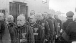 Reflections From a Concentration Camp