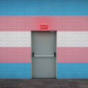 Waking Up From the Transgenderism Nightmare