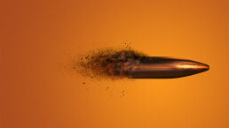 Why Thomas Crooks Shot Donald Trump