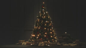 Do Christmas Trees Honor Christ?