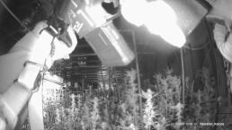 How Oklahoma Invited Organized Crime