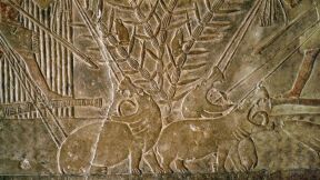 Bad Blood Between the Egyptians and Israelites Began With &hellip; Hippopotamuses?