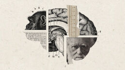 A True Christian Cannot Believe in Evolution