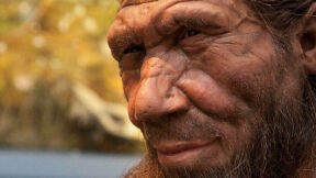 Genesis 6 Manifest? New Study Shows Neanderthal Men &lsquo;Preferred Homo Sapiens Women&rsquo;