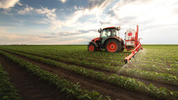 It&rsquo;s Poison, but It&rsquo;s Necessary