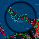 Europe, Asia Say U.S. Must Secure Hormuz Alone