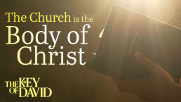 The Church Is the Body of Christ