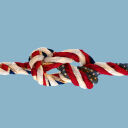 What Binds Britain and America?