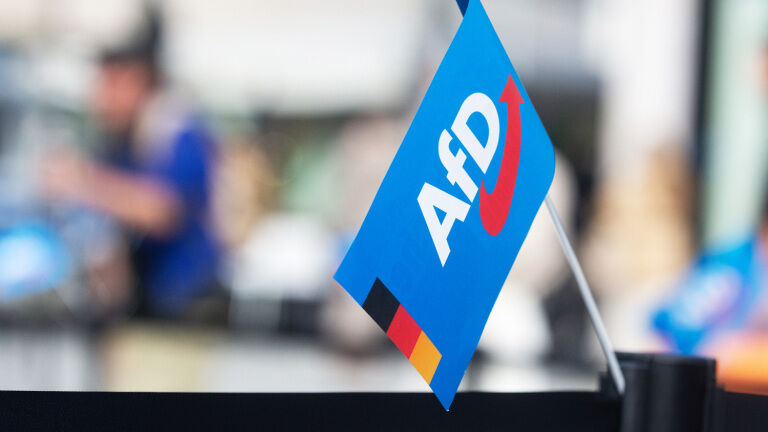 German AfD&rsquo;s Popularity Hits Record High as Merz&rsquo;s Sinks to New Low