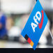 German AfD&rsquo;s Popularity Hits Record High as Merz&rsquo;s Sinks to New Low