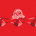 One in Three Democrats Likes Democratic Socialists