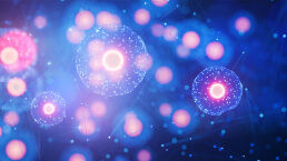 After AI, the Next Frontier Is Artificial Life