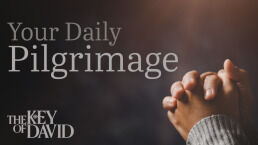 Your Daily Pilgrimage