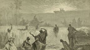 &lsquo;Thousands&rsquo;? Not Necessarily: The Scope of the Hebrew Word אלף