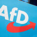 If the AfD Can&rsquo;t Be Beat, Ban It