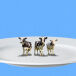 Smallest Cattle Herd in 75 years
