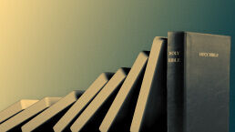 Your Source of Stability
