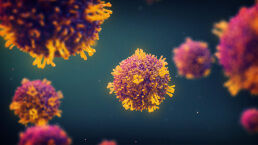 Media Wants Measles Hysteria