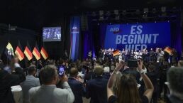 German Democracy on the Brink