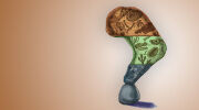 Does the Geologic Column Actually Exist?