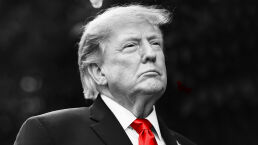 Many Democrats Openly Say They Want Trump Dead