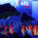 Will Europe&rsquo;s Far Right Fix the EU?
